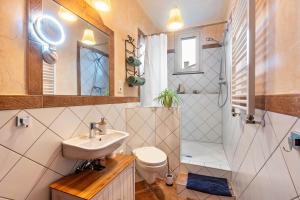 a bathroom with a sink and a toilet and a shower at Apartment zur alten Post in Ulrichstein +13 photos