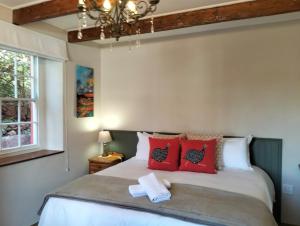 a bedroom with a bed with red pillows and a chandelier at The Restio Country Guesthouse in Napier +35 photos