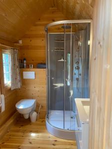 un baño con ducha y WC en Étoile du Cians Camping Beuil, en Beuil