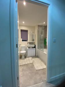 un bagno con un water e un lavandino di Moore Place a Houghton Regis