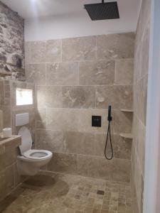 un bagno con wc e doccia di chambres dans maison vigneronne a Peyriac-de-Mer