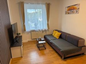Μια τηλεόραση ή/και κέντρο ψυχαγωγίας στο Apartment SNOW
