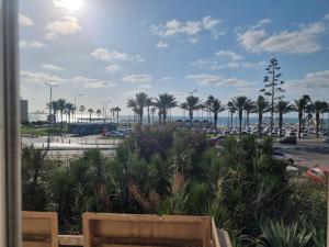 海法דירת נופש על הים בחיפה的享有棕榈树和汽车停车场的景色