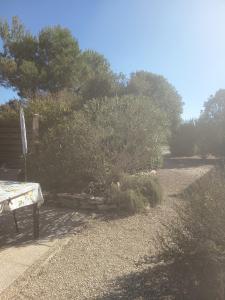 a garden with a table and some bushes and trees at Maison Salamandre in Calvisson