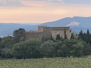 CassagnesにあるLa maison du bergerの木々の丘の上の城