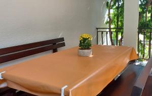 a table with a plant sitting on top of it at Gorgeous Apartment In Palit in Palit