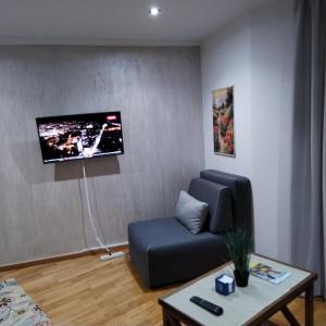 a living room with a couch and a tv on a wall at Apartman Iva Brzeće-Kopaonik in Brzeće