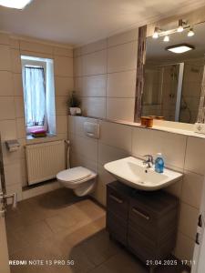 a bathroom with a sink and a toilet and a mirror at Gästehaus Brunnerhof - Reisen in Eitting