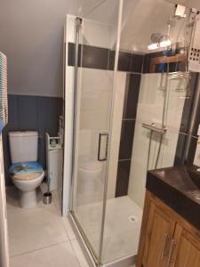 a bathroom with a shower and a toilet at Benabeach in Sarzeau