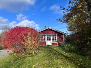 a red barn with a red tree in front of it at Sweet guest house with a view in Sävsjö