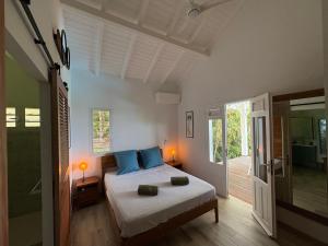a bedroom with a bed with blue pillows on it at Villa Ti'Kawet in Pointe-Noire