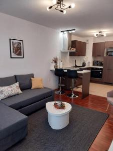 un salon avec un canapé et une cuisine dans l'établissement Logement 2 pièces cosy avec parking privé, à Strasbourg