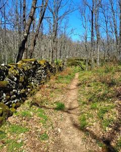 a dirt road next to a stone wall at Casa La Vera Rural in Talaveruela
