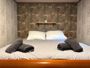 a bedroom with a bed with two pillows on it at Het Bosgeluk in Voorthuizen +25 photos