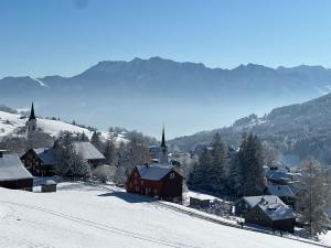 a small village in the snow with mountains in the background at Beatli Chalet in Wildhaus +6 photos