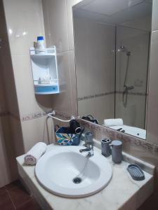 a bathroom with a white sink and a mirror at ALFONSo XII in Córdoba +10 photos