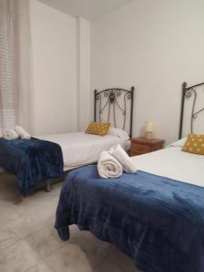 Zimmer mit 2 Betten, blauer Bettwäsche und Handtüchern in der Unterkunft ALFONSo XII in Córdoba
