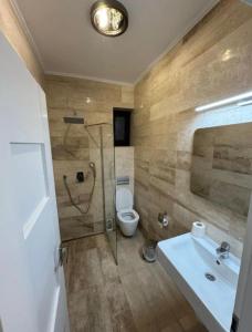 a bathroom with a shower and a toilet and a sink at Pensiunea Elis in Pescari +16 photos