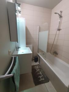 a bathroom with a sink and a bath tub at Laaglandlaan 1 in Antwerp