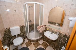 Un baño con ducha, inodoro y lavabo. en Winery Toplak, en Juršinci 32 fotos más