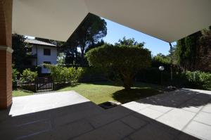 Blick auf einen Garten mit einem Baum und einem Gebäude in der Unterkunft Villa Sabrina in Lignano Sabbiadoro