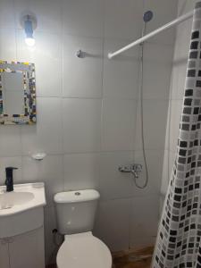 a bathroom with a toilet and a shower and a sink at ABBA Departamento Turístico 3 in Trevelín