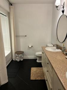 a bathroom with a sink and a toilet and a mirror at Tackle Box Retreat in Deseronto +31 photos