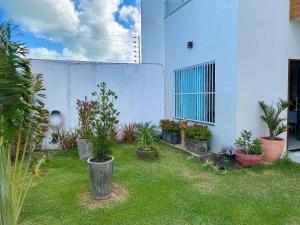 a yard with potted plants on the side of a building at Eficiência - Casa DasCli in Camocim