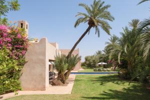 Zahrada ubytování Villa Monica