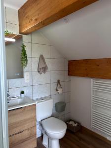 un bagno con un water bianco e un lavandino di Les Gîtes de la Source de la Loire a Sainte-Eulalie