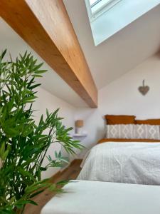una camera con letto e pianta di Les Gîtes de la Source de la Loire a Sainte-Eulalie