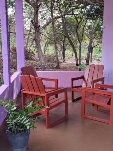 two chairs and a plant on a porch with trees at Casa Brisa do Tapajós in Santarém