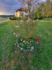 a flower bed with flowers in the grass at 3 Sternen in Sankt Georgen am Ybbsfelde