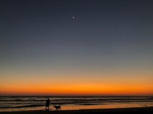 Φυσικό τοπίο κοντά σε αυτό το διαμέρισμα +1 φωτογραφίες