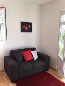 a living room with a gray couch with two red pillows at Bright F2 Apartment in Saint-Claude