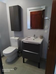 a bathroom with a toilet and a sink and a mirror at Villa le chant des Alizés  +24 photos