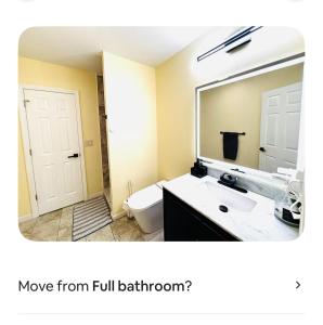 a bathroom with a sink and a mirror and a toilet at Jersey Oasis in Hazelton