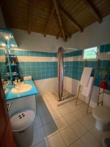 a bathroom with a sink and a shower at Bungalow Ludivine in Sainte-Anne +55 photos