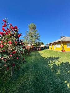 Kép Cabañas La Soñada szállásáról Chajaríban a galériában