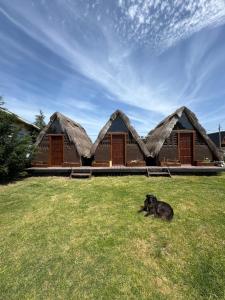 a dog laying in the grass in front of a building at Kuttir Le Dome in Quequén