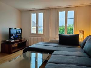 a living room with a blue couch and a tv at Ornithorynque in Noréaz