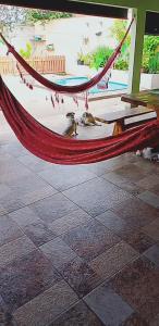 Dos pájaros sentados en una hamaca en un patio. en Casa Borges, en Aparecida de Goiania