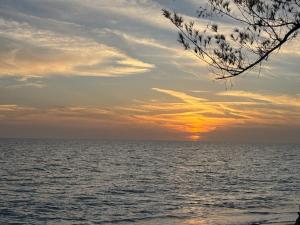 a sunset over a body of water with a tree at Gulf Front Cottages in Englewood +3 photos