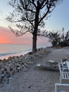 a tree and a bench on a sandy beach at Gulf Front Cottages in Englewood