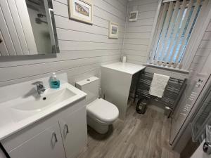 une petite salle de bain avec toilettes et lavabo dans l'établissement No 4 Dane Park, à Lymington 13 autres photos