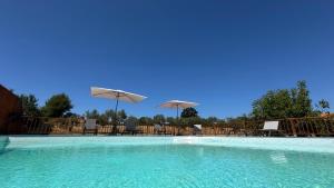 a swimming pool with chairs and umbrellas at Casas Matias Nature Serra da Estrela - Alojamentos em Seia in Carragozela
