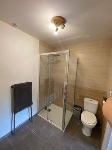 a bathroom with a shower and a toilet at Charmant T3 privé avec vue et accès piscine in Basse-Goulaine