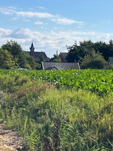 a field of grass with a house in the background at De Hoffstee in Minnertsga