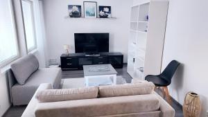 ソトカモにあるSaunallinen lomakaksio Sotkamon keskustassaのソファとテレビのあるリビングルーム