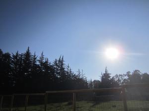 Fotografie z fotogalerie ubytování Cabañas Tu Bosque v destinaci Isla Negra